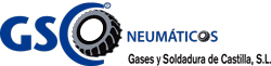 cropped-LOGO-GASES-1.png